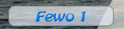 FEWO1